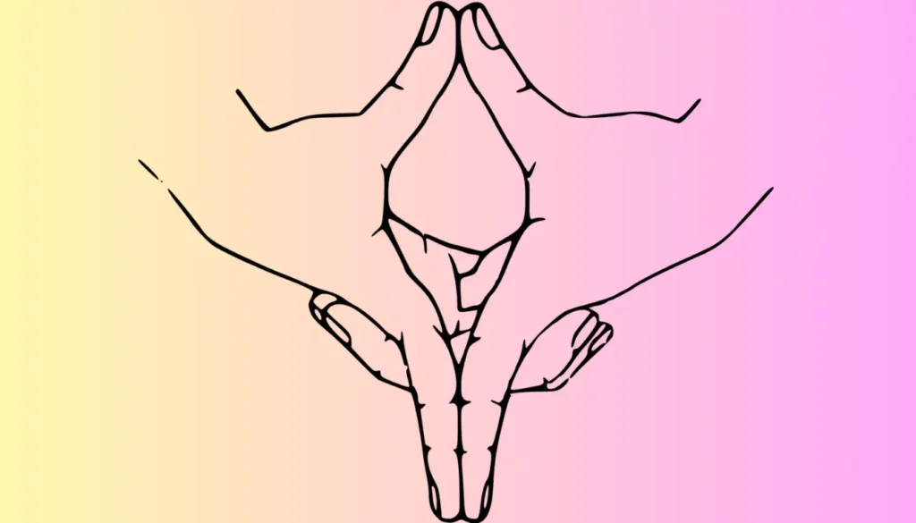 Uttarabodhi Mudra