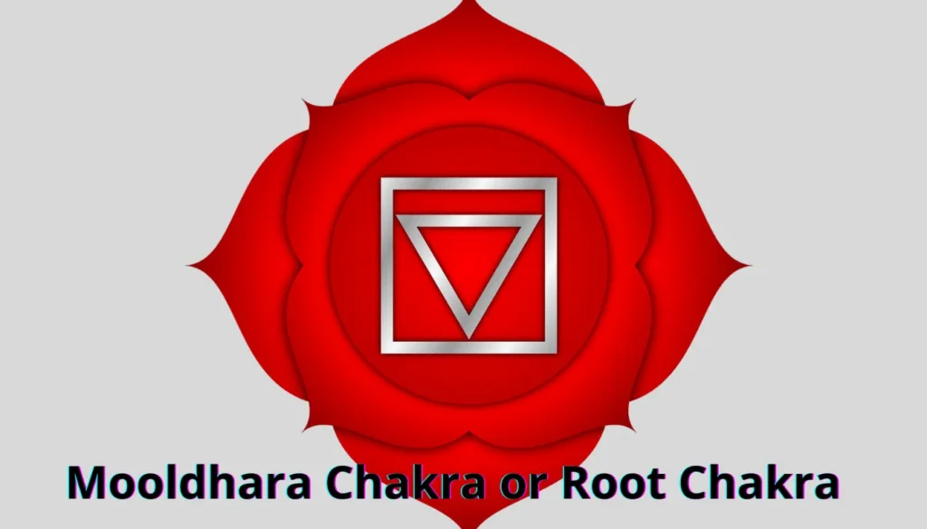 Mooldhara Chakra Or Root Chakra