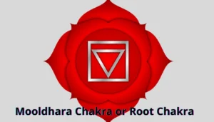 Root Chakra: 5 Easy Ways to Balance Your First Chakra